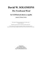 David W. Solomons - The Frostbound Wood